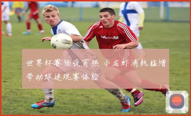 世界杯赛场夜宵热 小龙虾消耗猛增带动球迷观赛体验