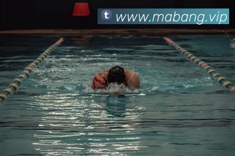 彩神 - 追求健康,你我一起成长发展历程