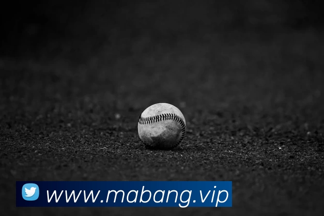 中国宣布退出2028年奥运会 时间与后续影响引关注